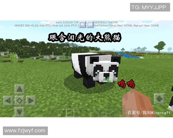 在三次元世界与熊猫共舞云顶棋盘的奇妙冒险之旅 在三次元世界与熊猫共舞云顶棋盘的奇妙冒险之旅