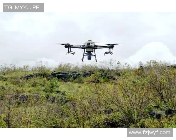 大理赛区足球联赛期间全面禁飞无人机保障赛事安全与顺利进行 大理赛区足球联赛期间全面禁飞无人机保障赛事安全与顺利进行